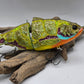Colorful fishing lure on a piece of driftwood against a gray background