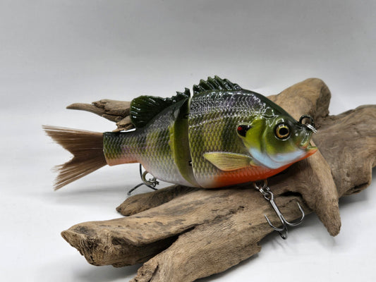 5" Brushtail excellent detail