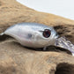 Fishing lure on a piece of driftwood with a white background