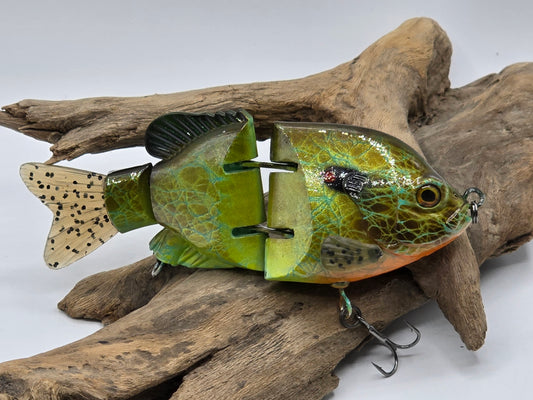 Little Bluegill Swimmer