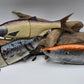 Rad Shad