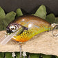 S-Crank Style Squarebill Crankbait